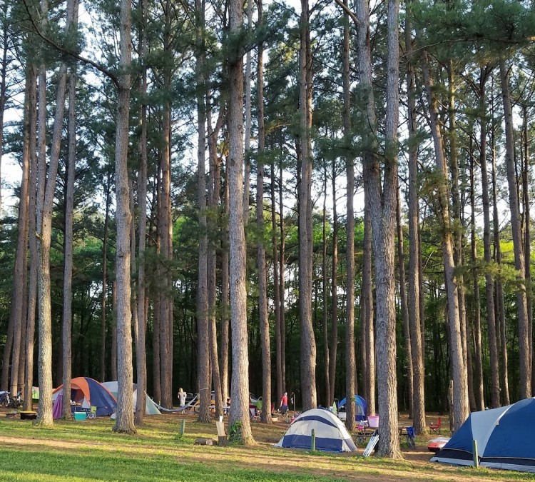 Nolin State Park Campground (Mammoth&nbspCave,&nbspKY)